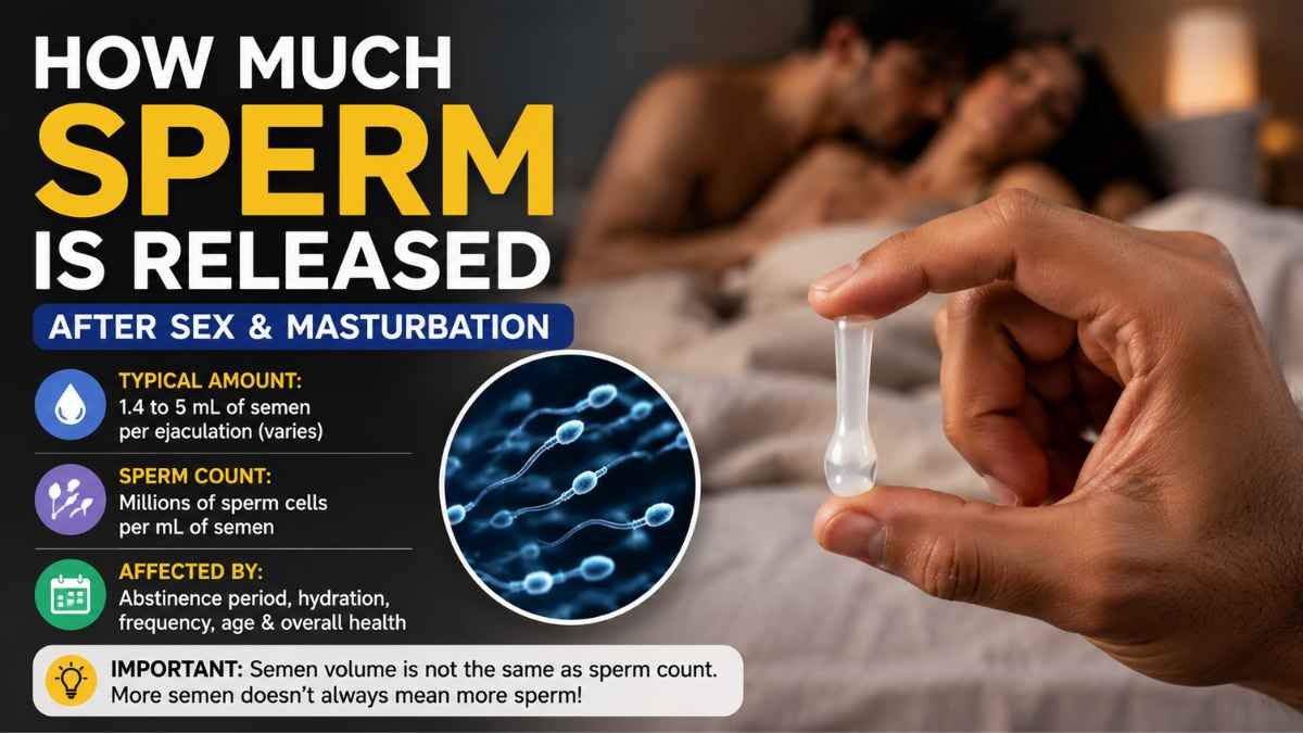 How Much Sperm Is Released After Sex and Masturbation? What Is Normal?