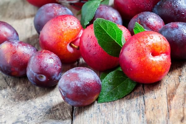 plums are good or bad plums benefits