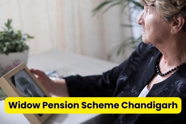 widow pension scheme chandigarh